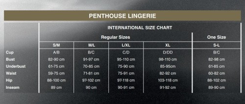 Penthouse - All Yours - Приталенная сорочка-сетка со стрингами, L/XL (черная) - sex-shop.ua